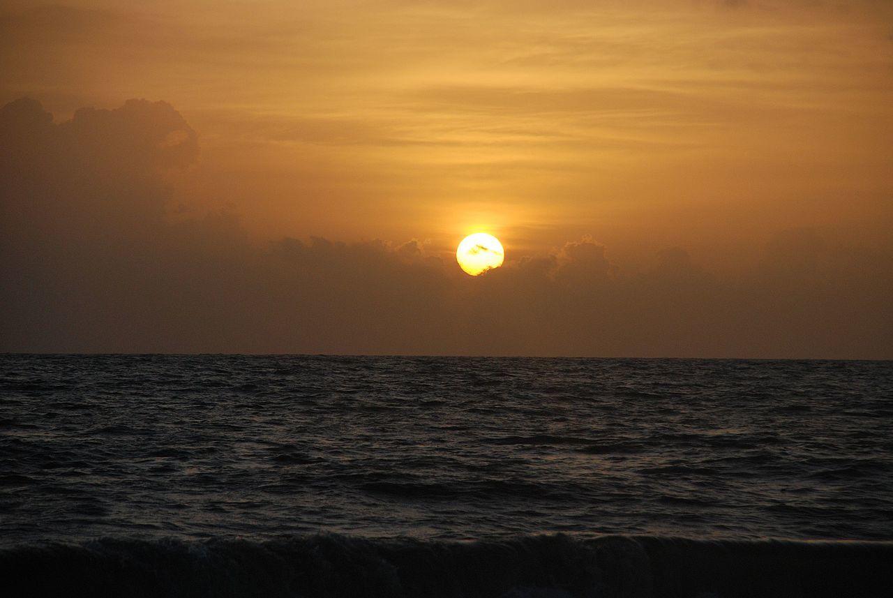 Marari Peterland Apartment Alappuzha Cameră foto